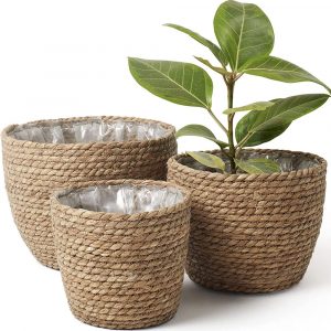 Planter Basket Indoor